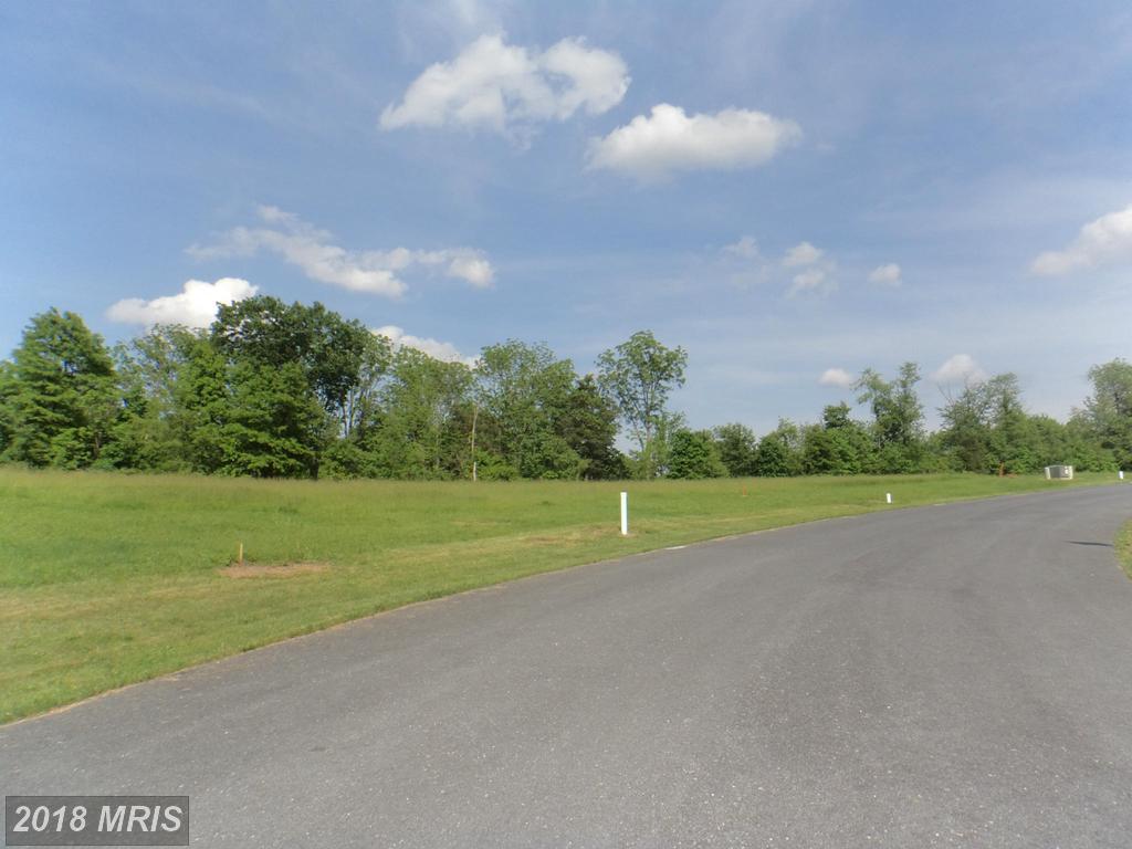 LOT 5 Toms Lane - Photo 1