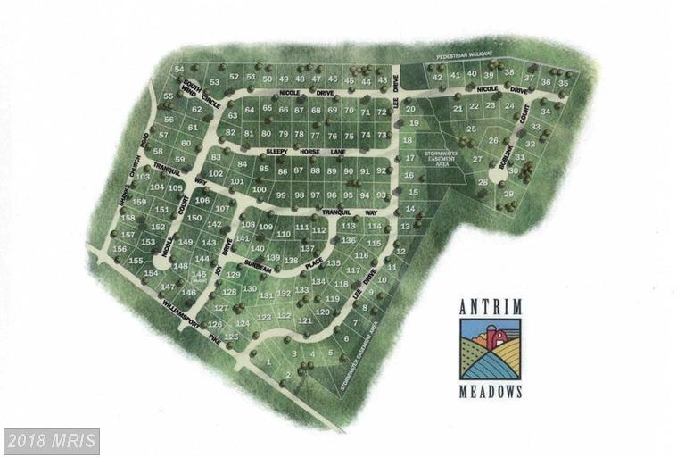 0 Williamsport Pike - Photo 1