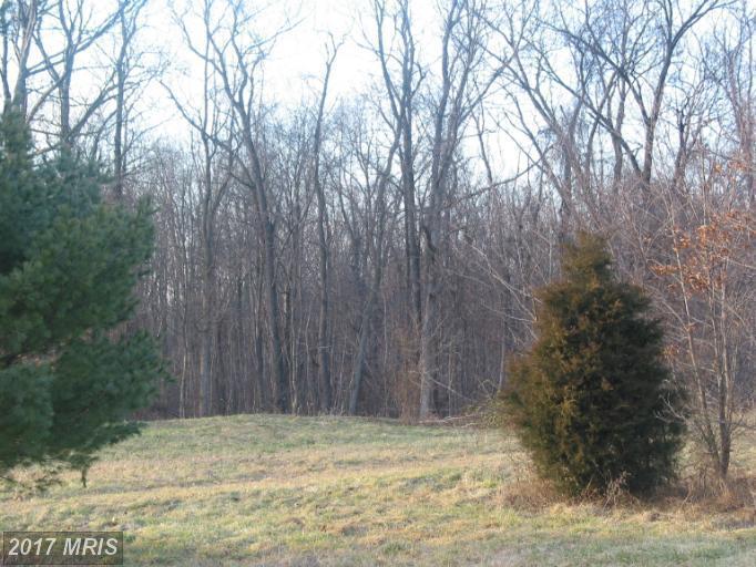 7072 Killarney Drive - Photo 1