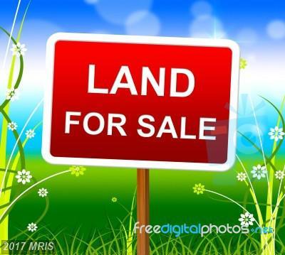 8916 Olde Scotland Road - Photo 1