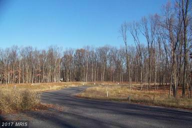 LOT 45 Old Kiln Drive - Photo 1