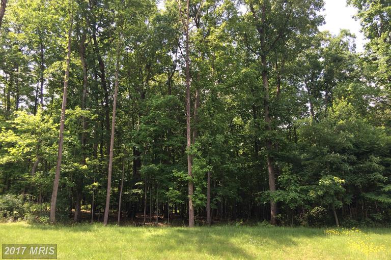 Longwood Drive - Photo 1