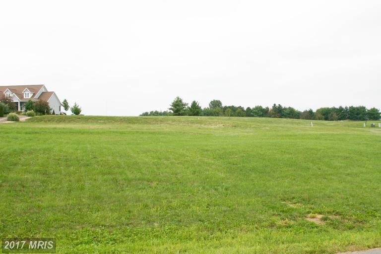 7118 Seminole Way - Photo 1