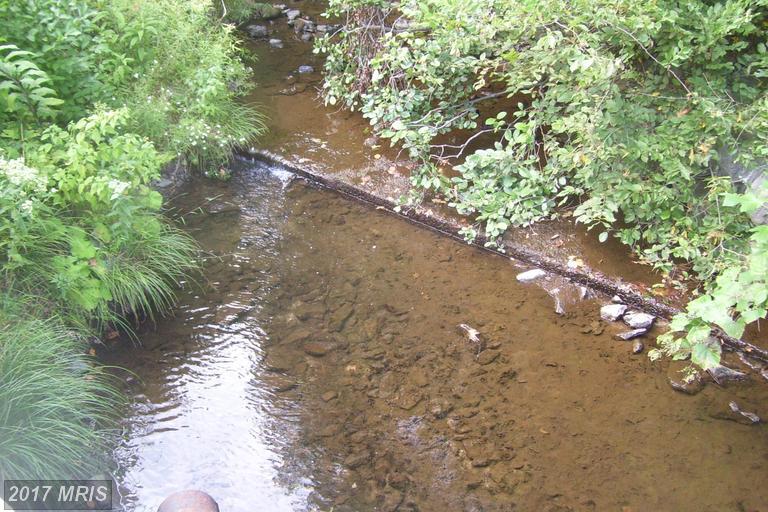 31-AC Path Road - Photo 1