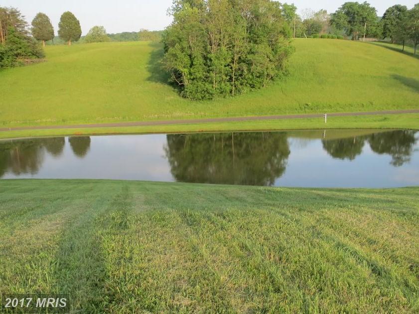 Hickory Lane - Photo 1