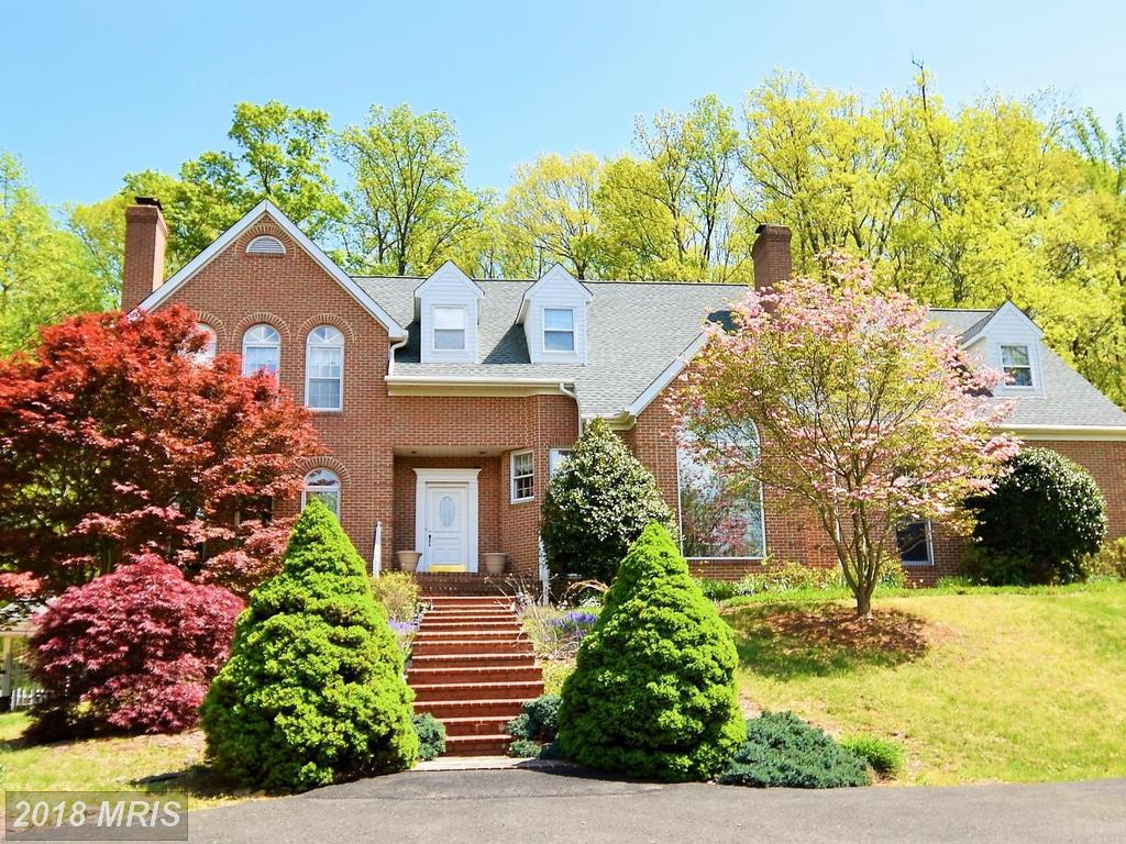 10478 Cobbler Valley Lane - Photo 1