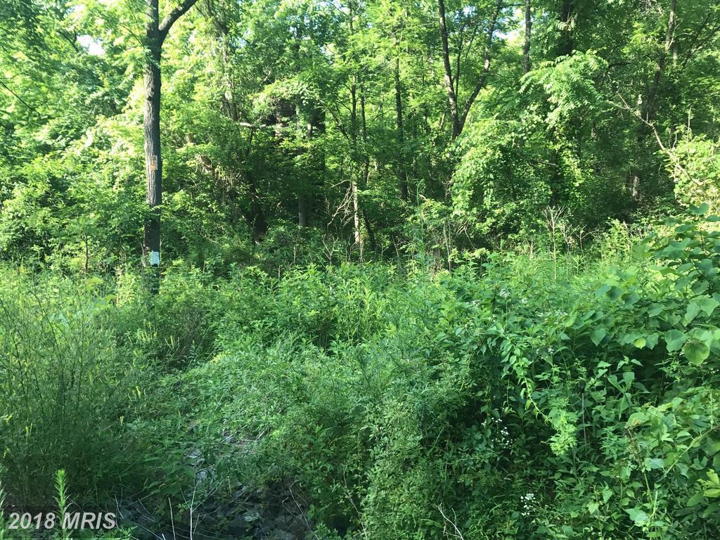 Carters Run Road - Photo 1