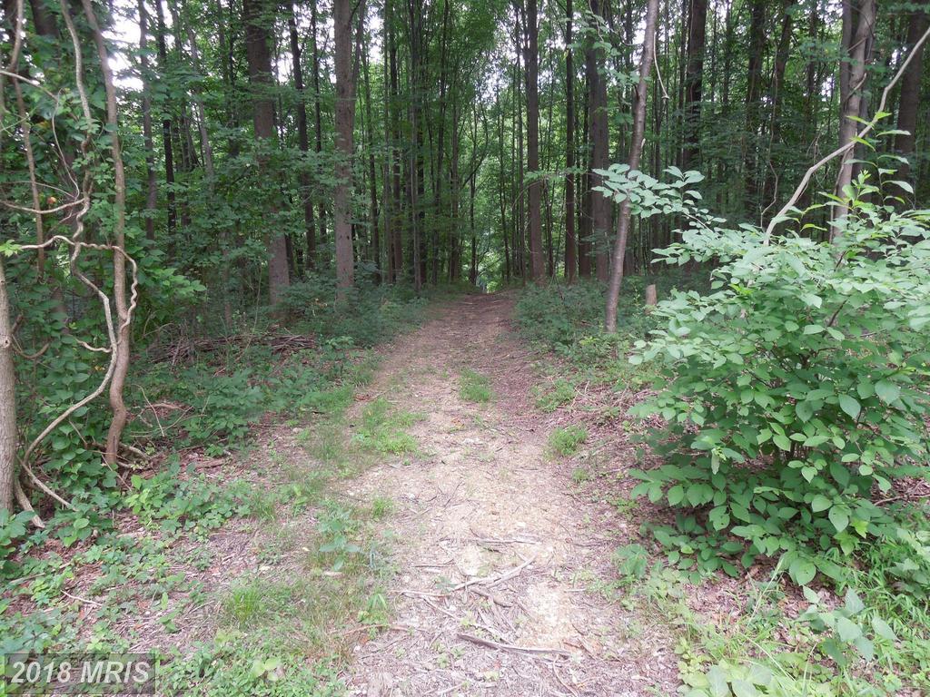6160 Fulmer Road - Photo 1