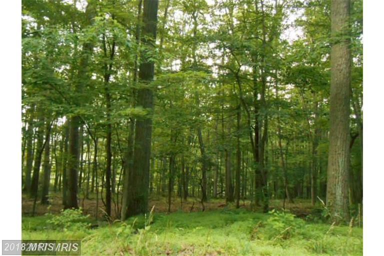 Boonsboro Mountain Road - Photo 1