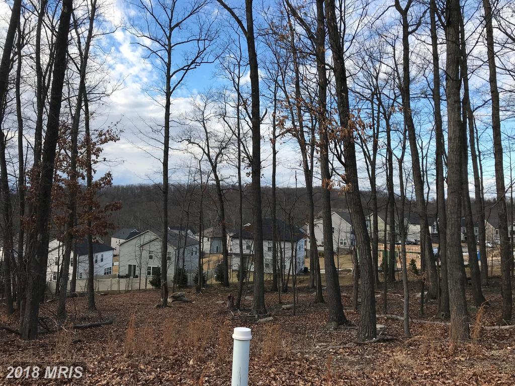 6605 Accipiter Drive - Photo 1