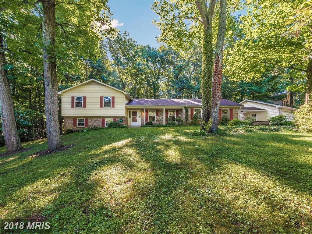 12334 Sherwood Forest Drive - Photo 1