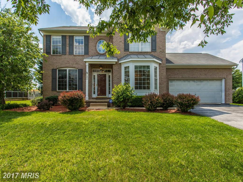 203 Swallow Falls Court - Photo 1