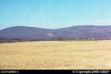 14712 Old Frederick Road - Photo 1