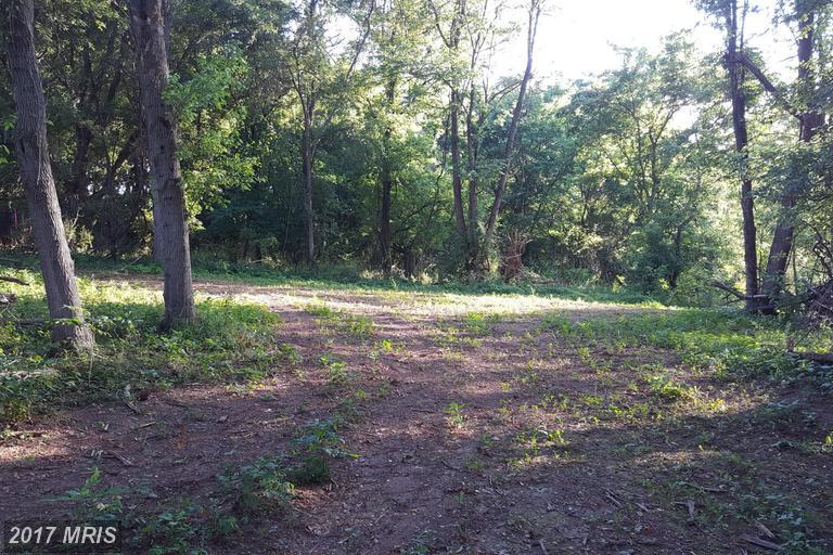 Wolfsville Road - Photo 1