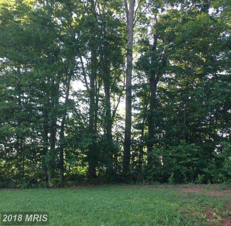 Long Road - Photo 1