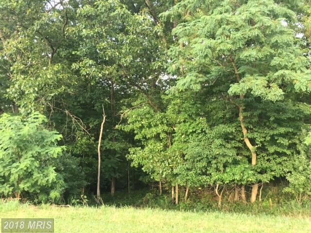 15 Harry Hiett Lane - Photo 1