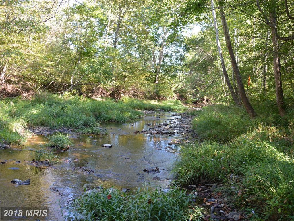 LOT #4 Isaac Creek Drive - Photo 1