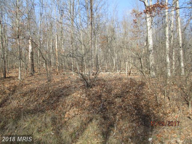 LOT 1 Northwestern Pike - Photo 1
