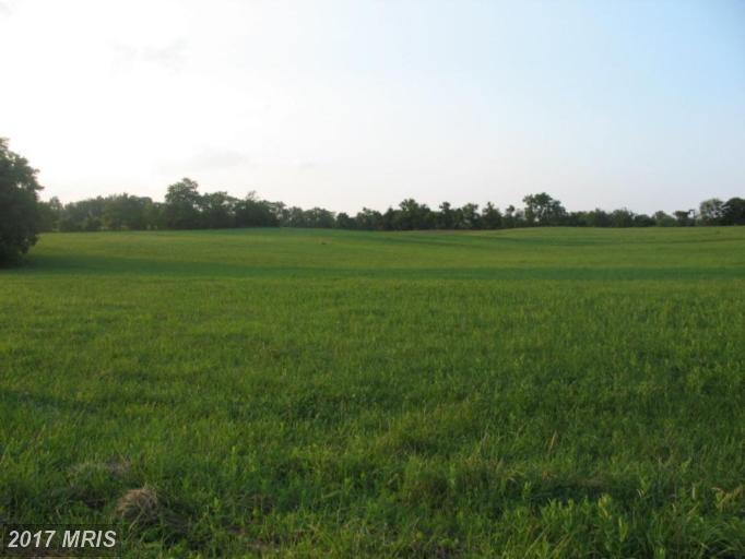 0 Apple Pie Ridge Road - Photo 1