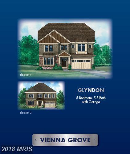 2688 Salem Oak Lane - Photo 1