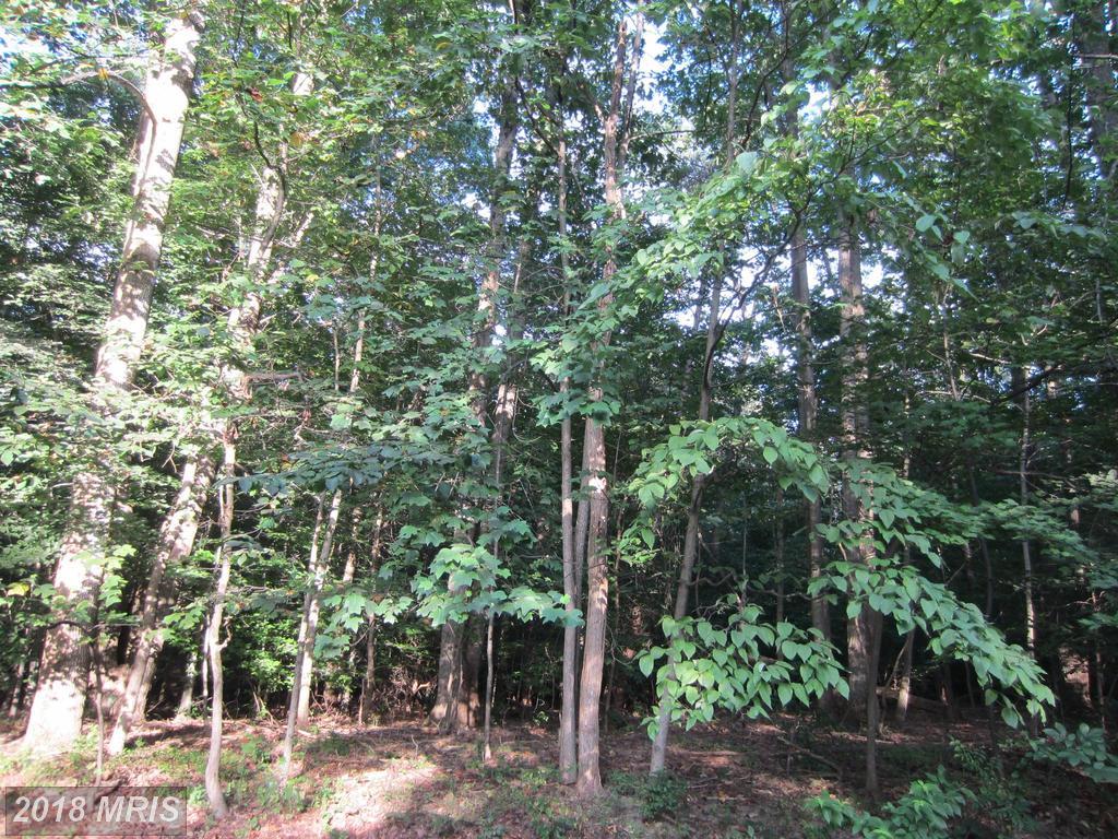 801 Clear Spring Road - Photo 1