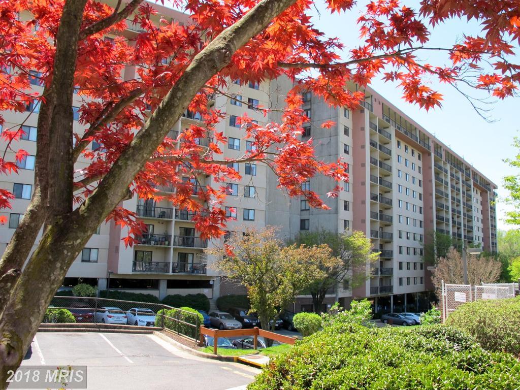 3800 Powell Lane - Photo 1