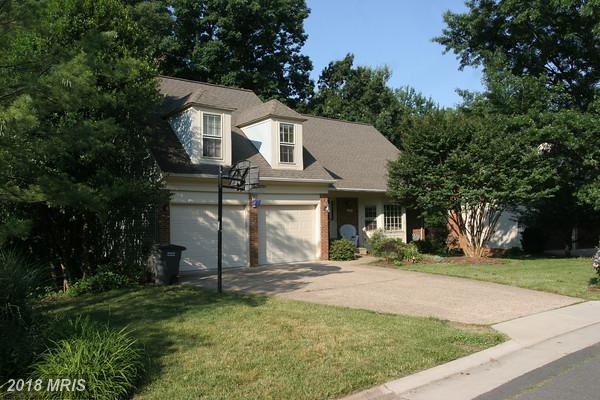 11955 Grey Squirrel Ln - Photo 1