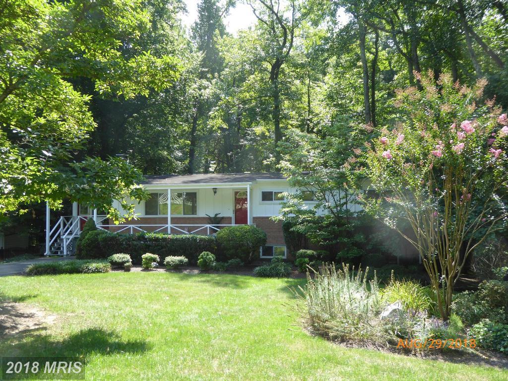 7206 Calamo Street - Photo 1