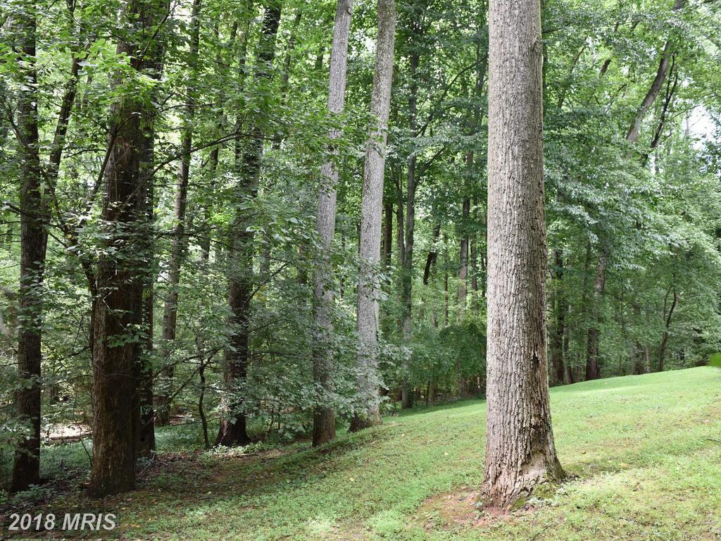 6931 River Oaks Drive - Photo 1