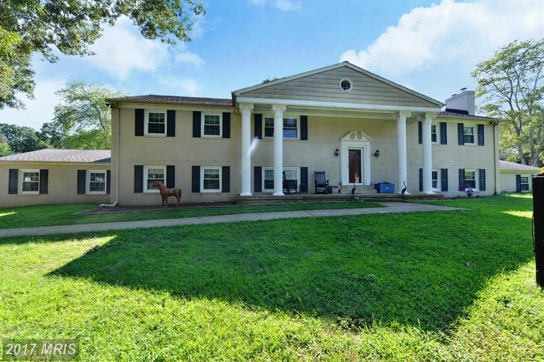 6807 Springfield Drive - Photo 1