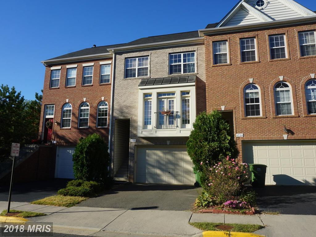 4506 English Holly Drive - Photo 1