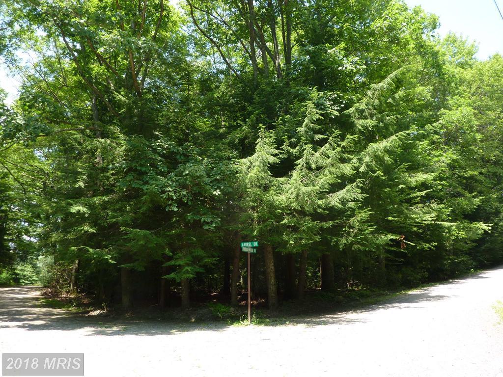 19--20 Rhododendron Drive - Photo 1