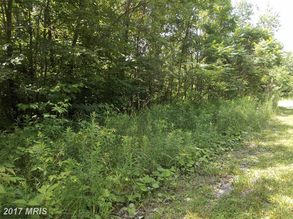 Westview Crossing Road - Photo 1
