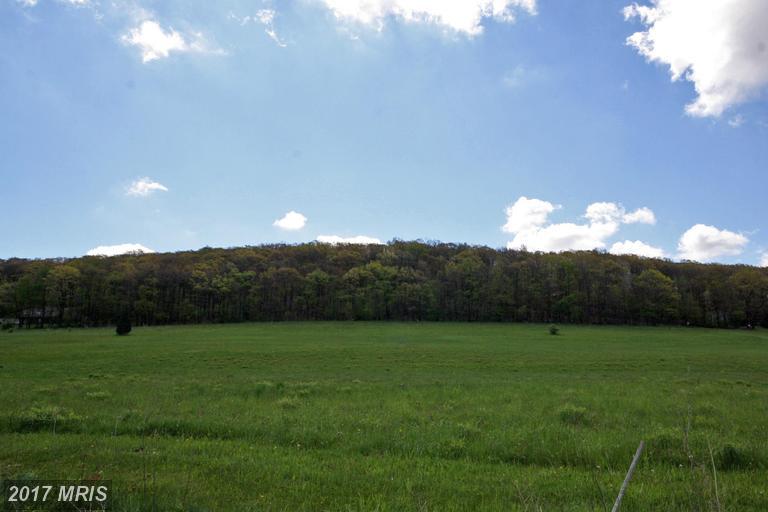 15 Green Meadow Lane - Photo 1