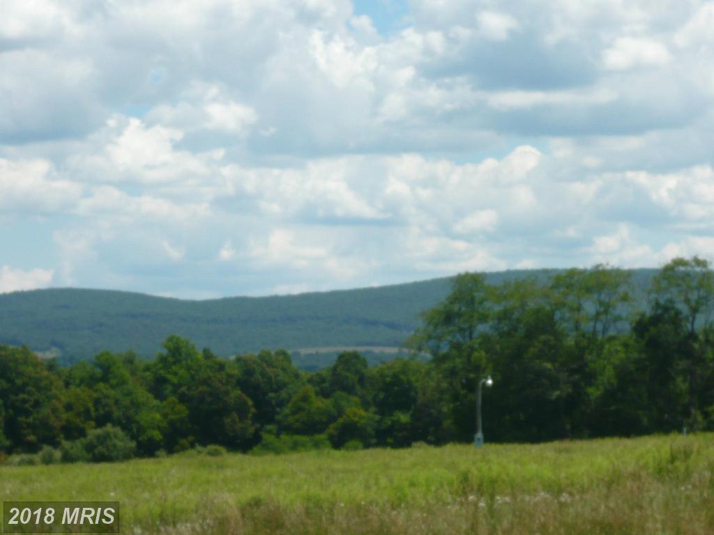 Frazee Ridge Road - Photo 1