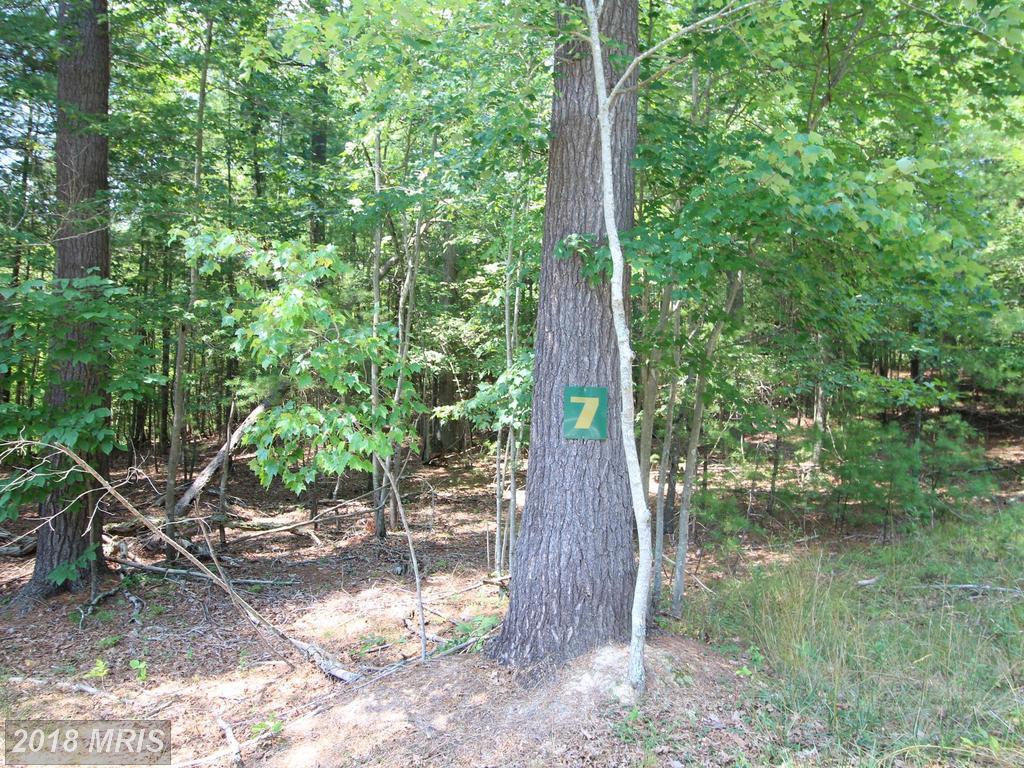 North Mt. Rd. - Photo 1