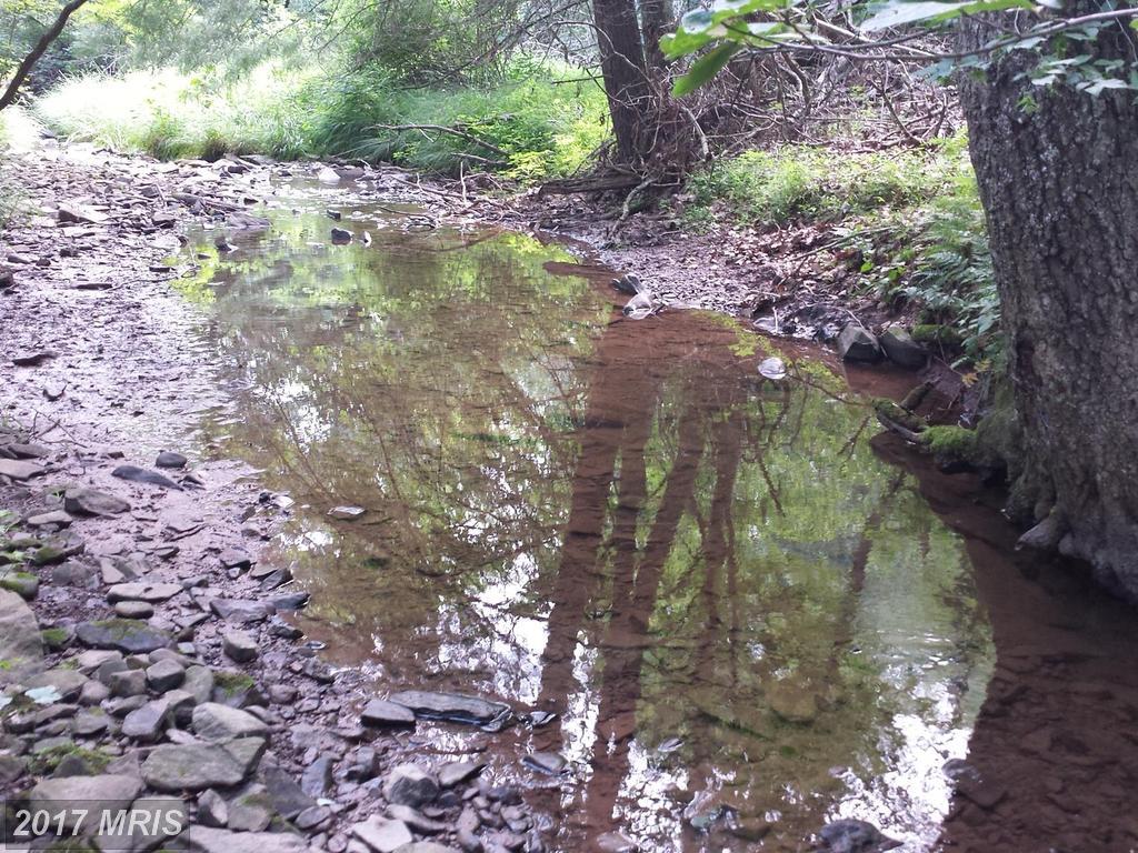 2 Upper Skaggs Run Road - Photo 1