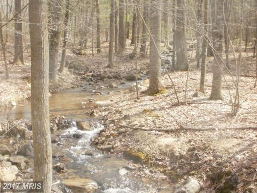 East Of Waites Run Road - Photo 1