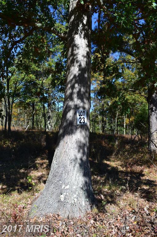 23 Switchback Trail - Photo 1