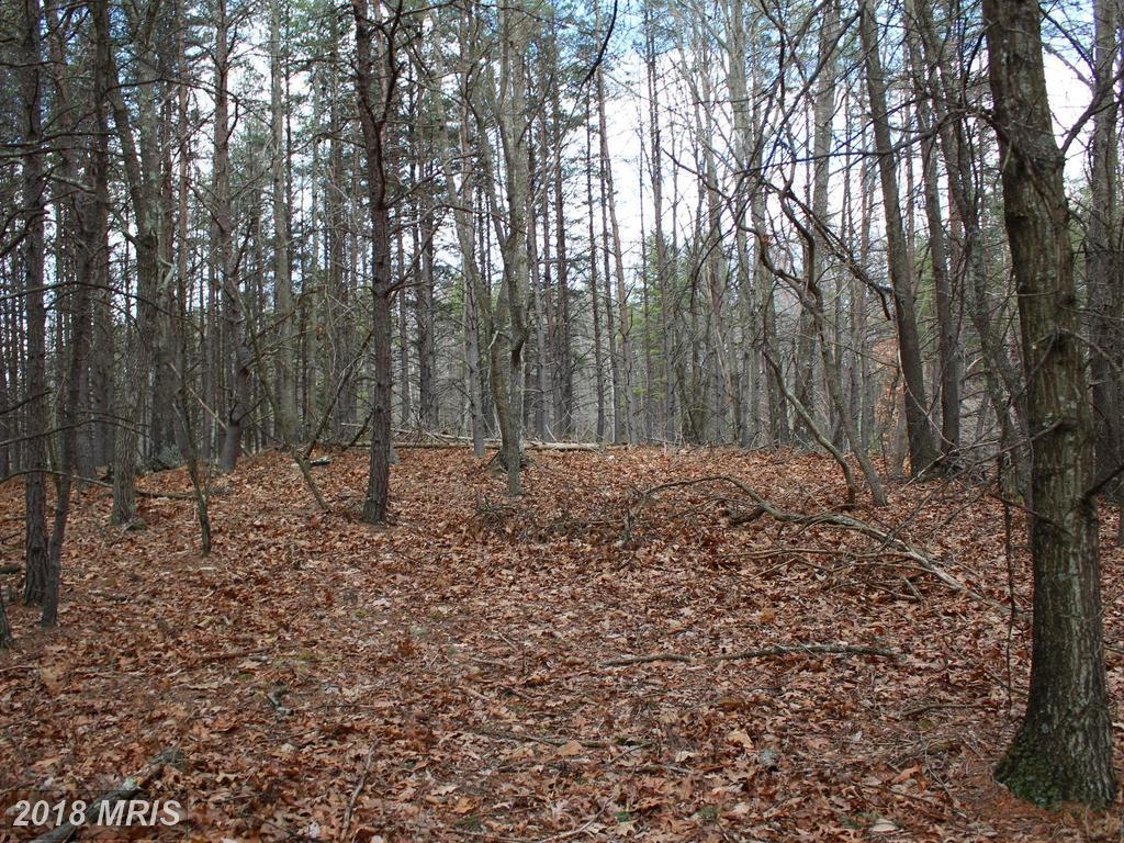 LOT 12 Clifford Hollow - Photo 1