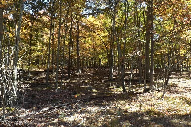 Timber Trail - Photo 1
