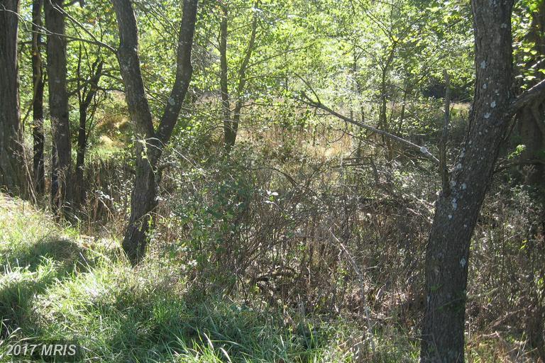 Upper Cove Road - Photo 1