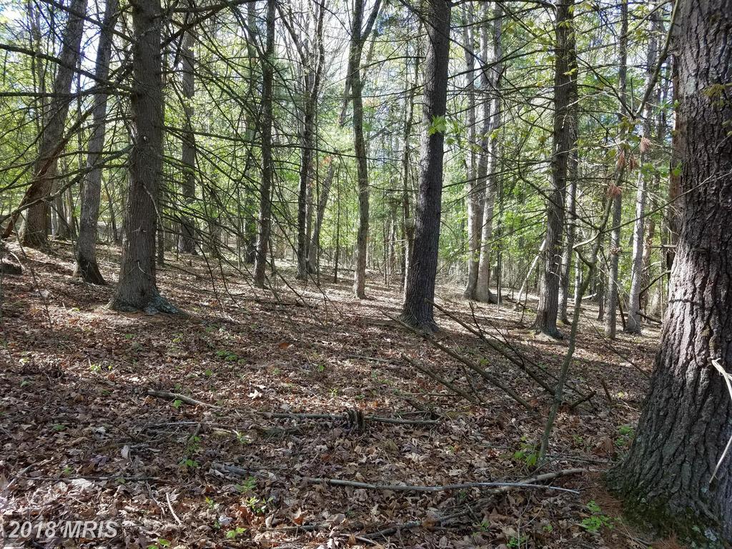 East Ridge Road - Photo 1
