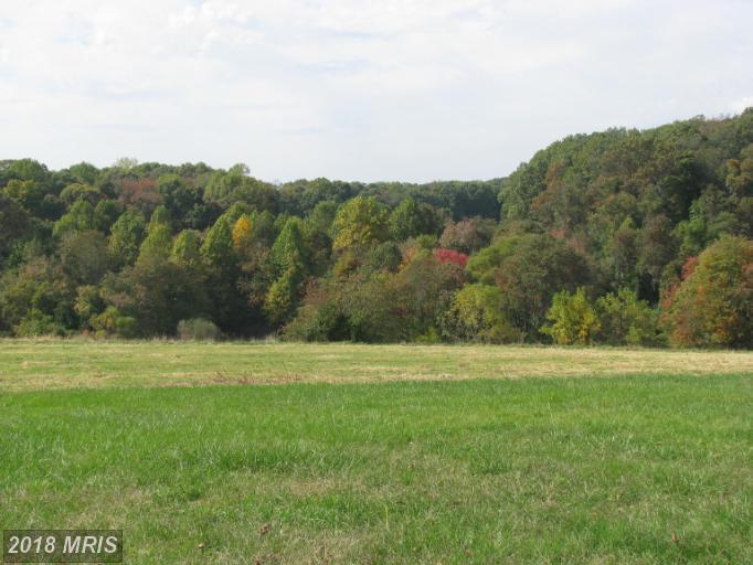 1920 Whiteford Road - Photo 1