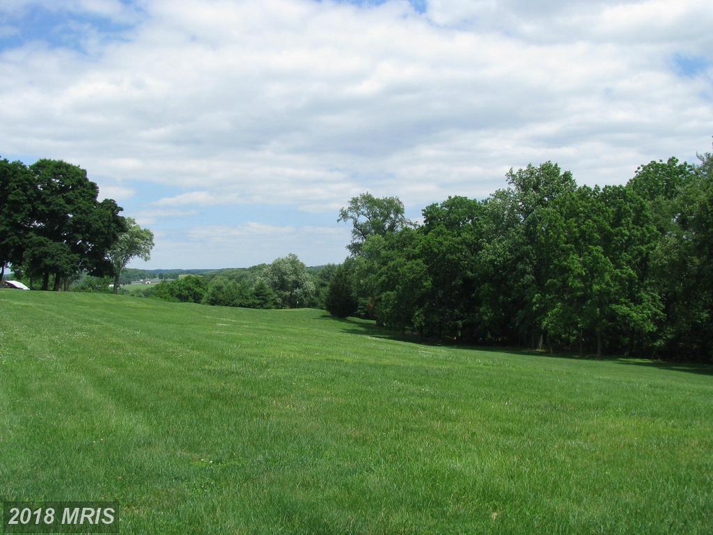 1833 Glenville Road - Photo 1