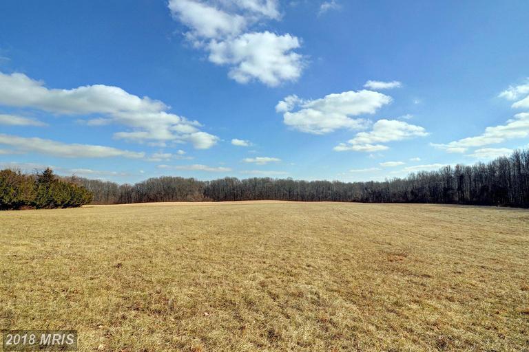 415 Robin Hood Road - Photo 1