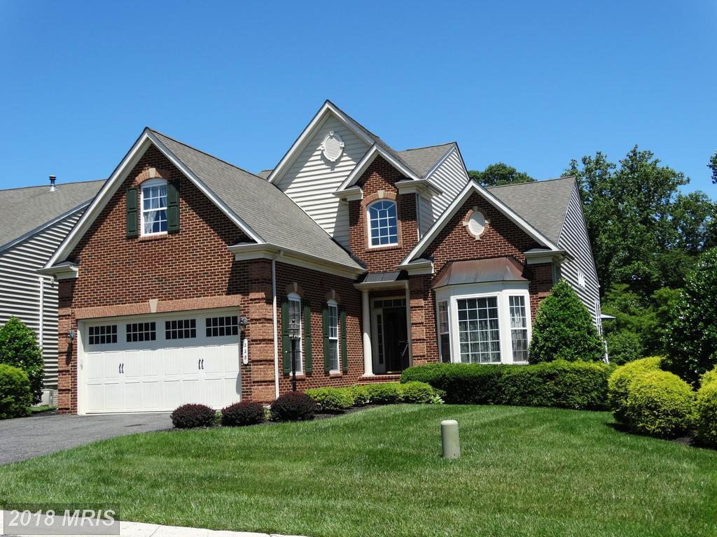 228 Spectacular Bid Drive - Photo 1