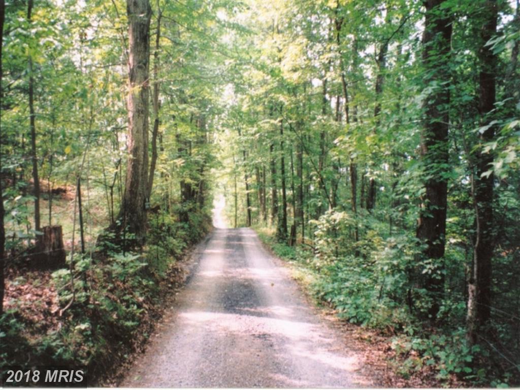 Buffalo Gap Terrace - Photo 1