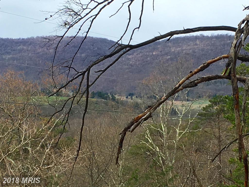 Thistle Ridge Road - Photo 1