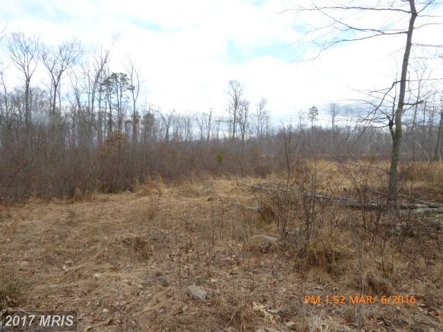 Capon Woods Resort Road - Photo 1